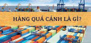 Hàng Quá Cảnh (Transit Goods) Là Gì
