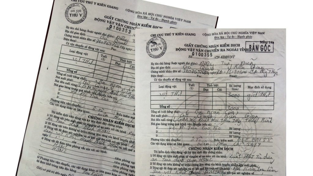 Tìm Hiểu Về Giấy Chứng Nhận Kiểm Dịch (Phytosanitary Certificate) Là Gì?