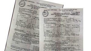 Tìm Hiểu Về Giấy Chứng Nhận Kiểm Dịch (Phytosanitary Certificate) Là Gì?
